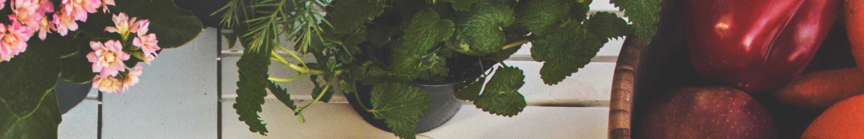 Fresh vegetables and cooking methods to retain vitamins and nutrients