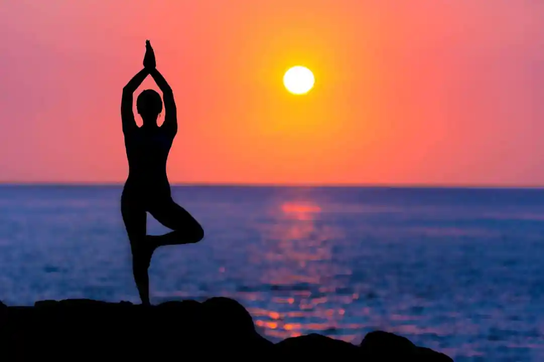 How the eight limbs of yoga can help us achieve a perfect balance