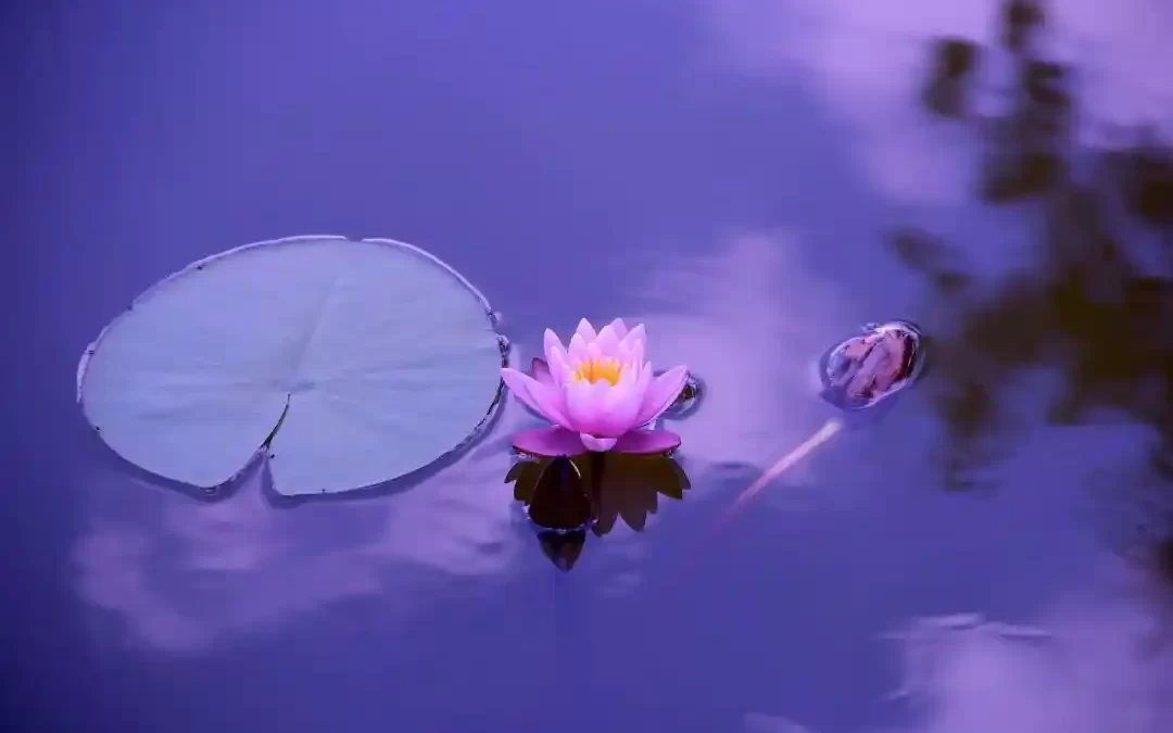 Holotropic Breathwork – a Powerful Meditation for Emotional Release and Healing
