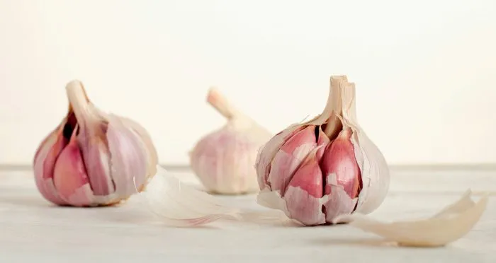 Garlic: The immune strengthener