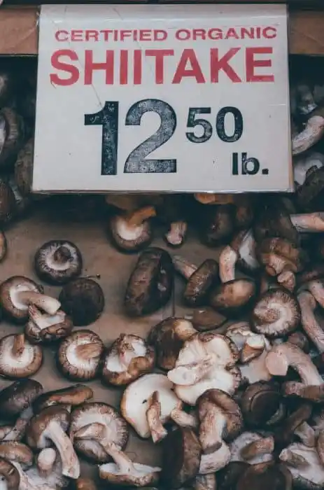 Why is shiitake mushroom good for you?