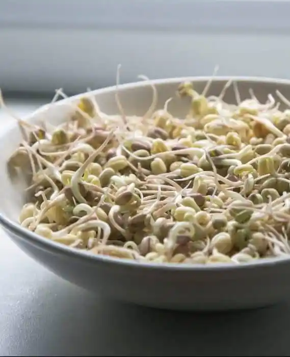 How much of the food you eat can your body actually use?
