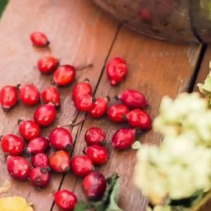 The Famous Antioxidants