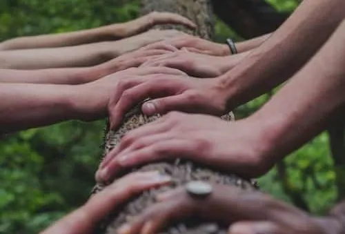 Psilocybin Retreats in Mexico