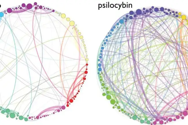 Psilocybin: A safer alternative to 21st century mood disorders